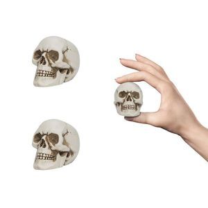 Resin Skull 2 Pcs/set, Mini Skull Model For Home Decoration, Halloween Skull🖖